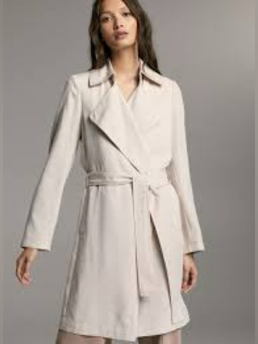 BABATON - ARITZIA, the Maximo trench coat!